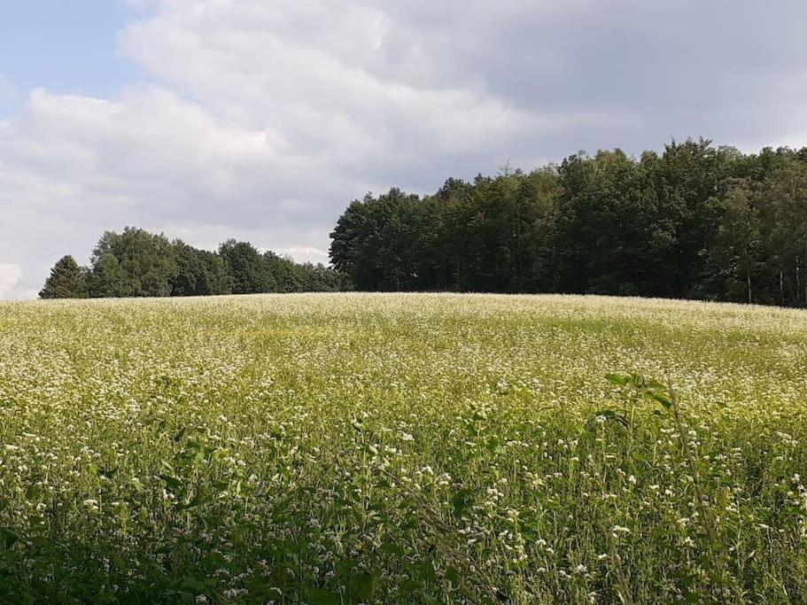Schoene Und Ruhige Ferienwohnung In Ottendorf Sebnitz Bagian luar foto